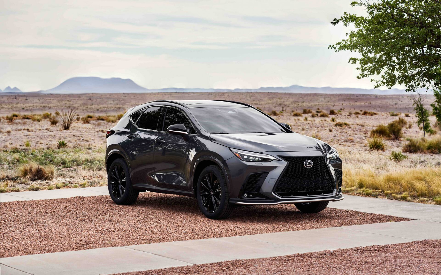 13 Lexus NX: Five Things to Know - The Car Guide