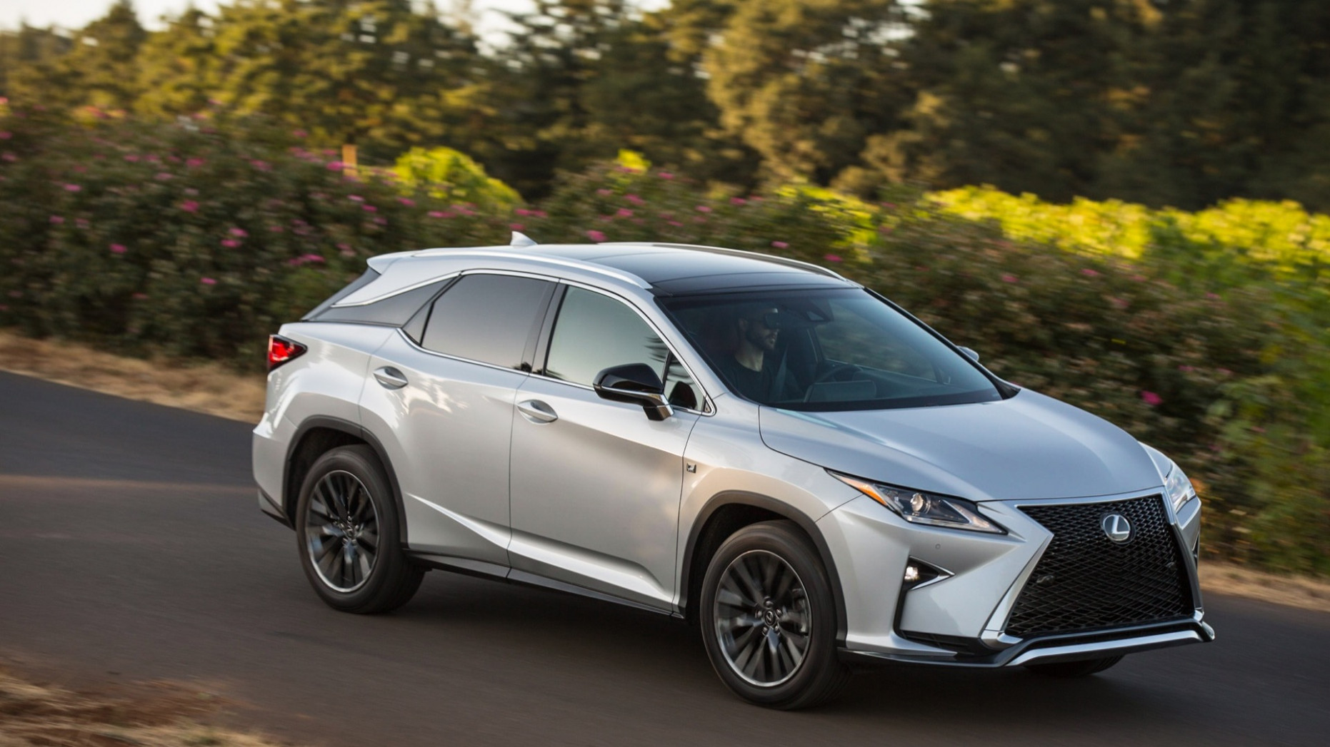 14 Lexus RX first drive review